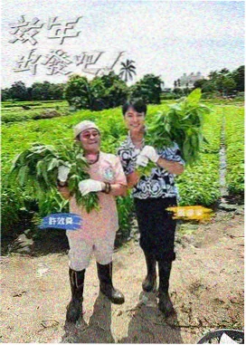 中国好声音 在线观看视频